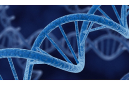 Logo of Phylo
