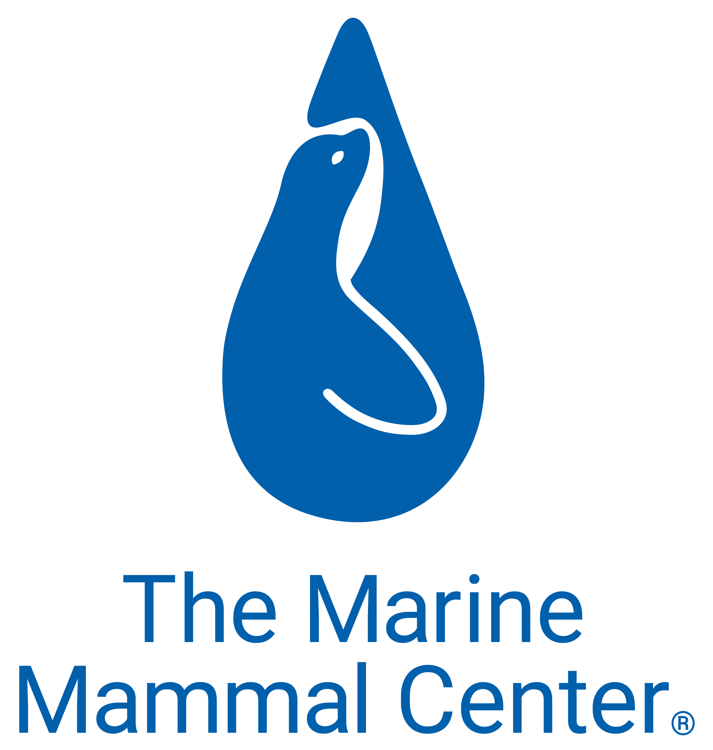 Rescue  The Marine Mammal Center