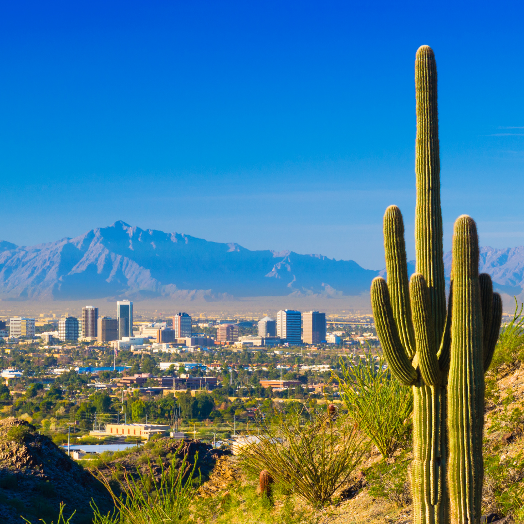 2023 City Nature Challenge Greater Phoenix Area - SciStarter