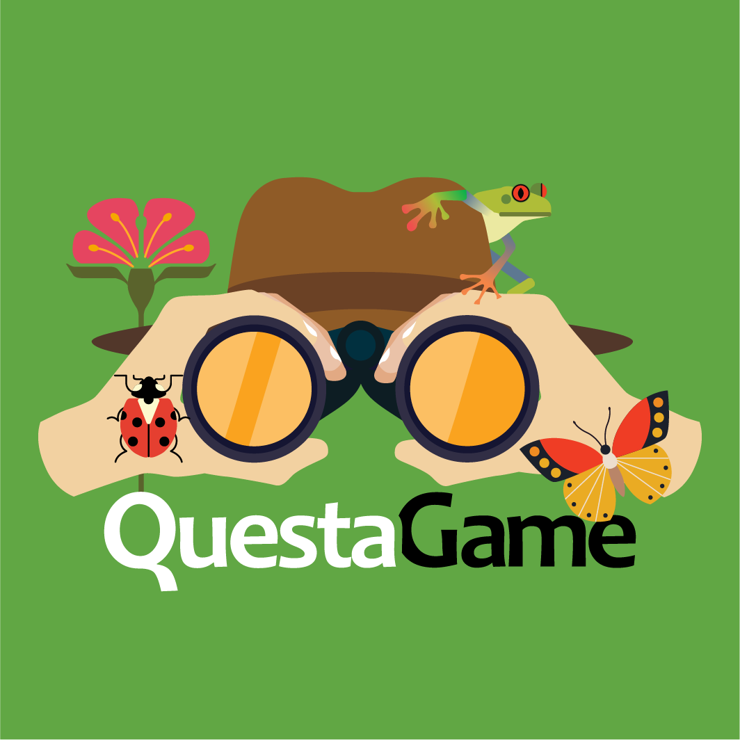 Logo of QuestaGame