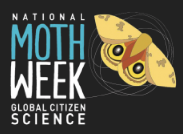 National Moth Week 2023 SciStarter