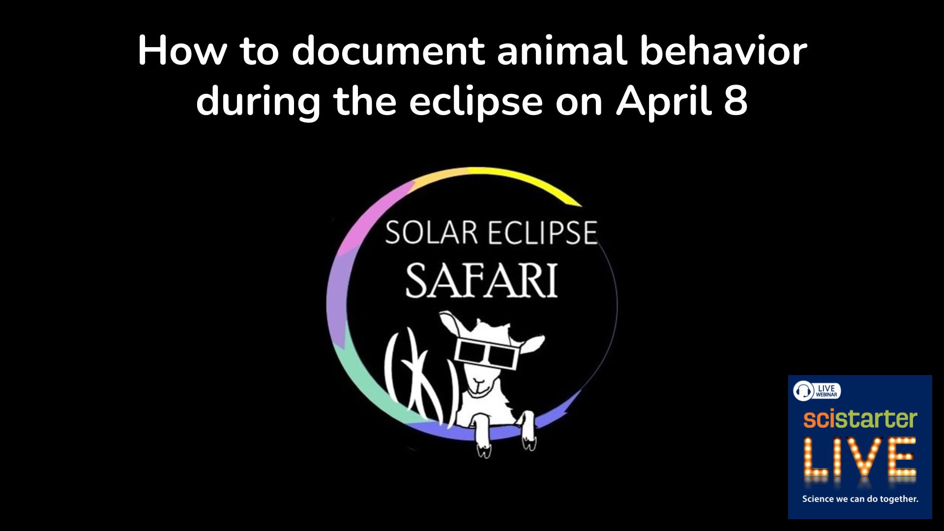 SciStarter LIVE: How to document animal behavior during the eclipse on